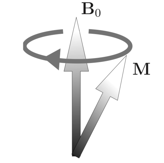 Et protons spind ændret væk fra B0 af radiosignal til M
