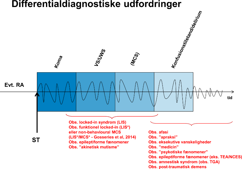 Neuropsykolog DOC10 Differential udfordringer 2.png