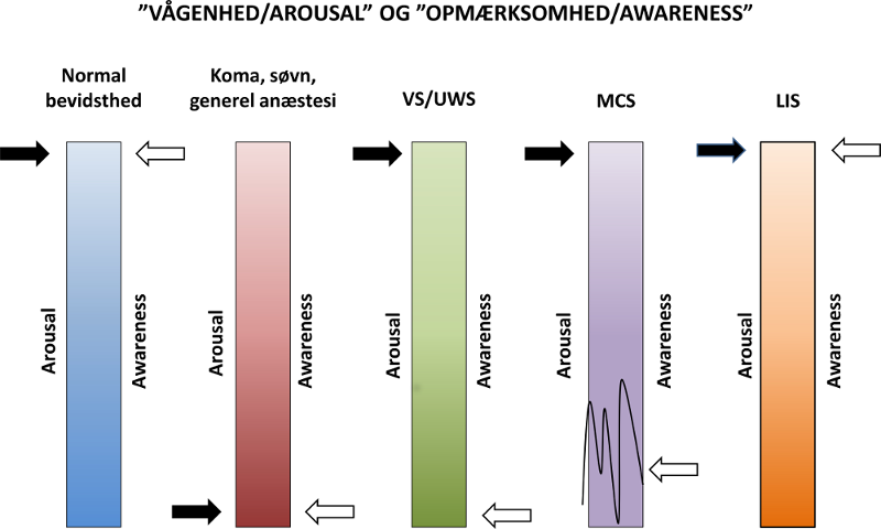 Neuropsykolog DOC1 Arousal awareness columns 2.png