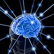 NeuroWiki - Et netværk af viden