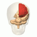 Thumbnail af versionen fra 9. sep 2012, 20:44