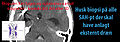 Miniature af versionen fra 14. jul. 2010, 12:30