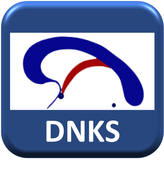 Fil:DNKS2.png