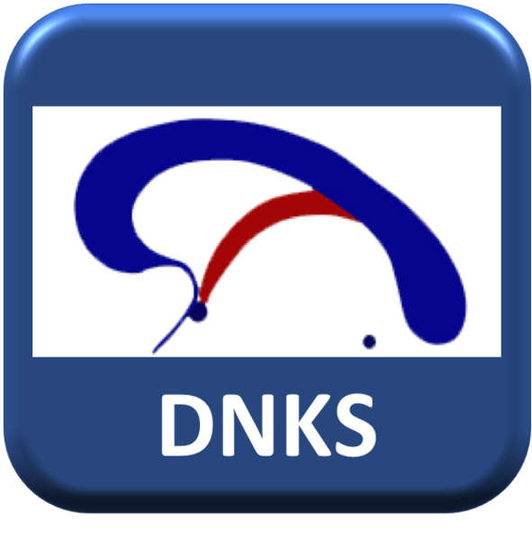 Fil:DNKS1.png