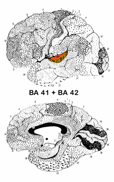 Fil:BA 41 42.png